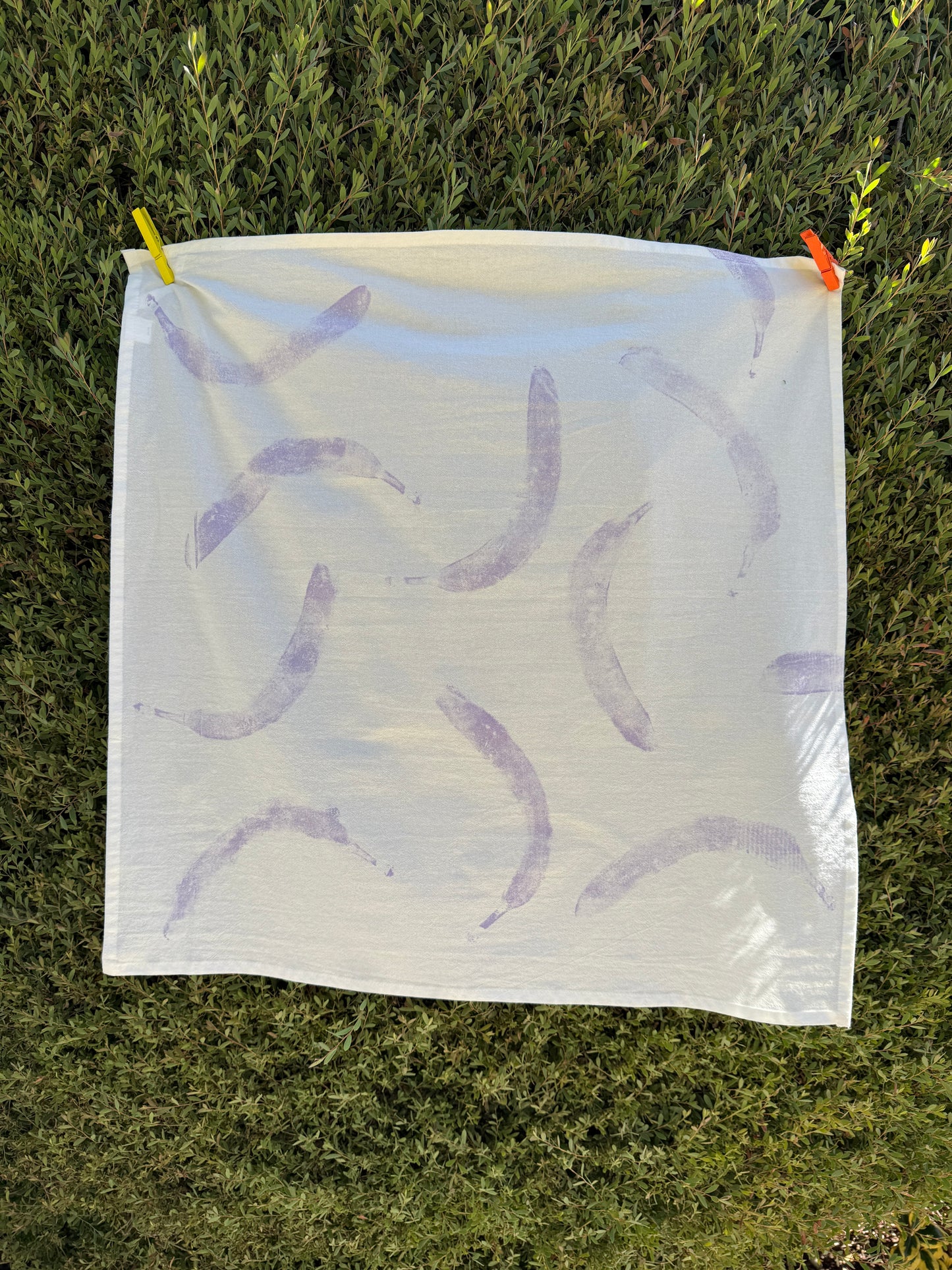 Hand Printed Dish Towel