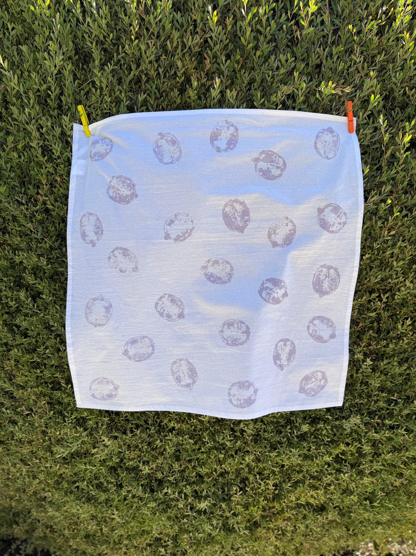 Hand Printed Dish Towel