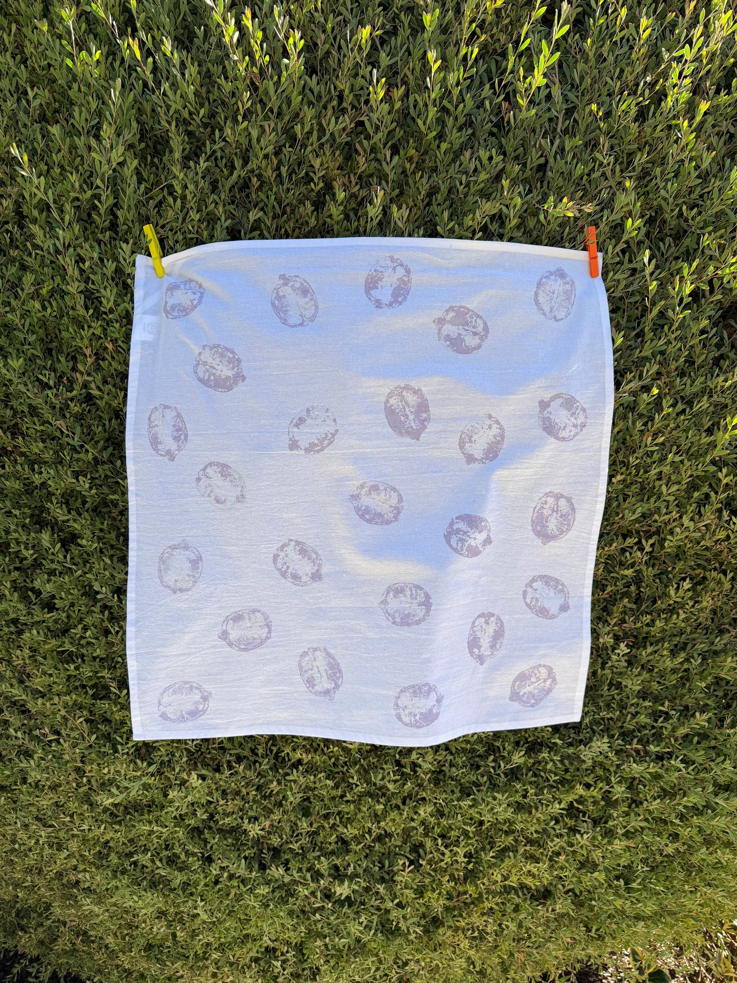Hand Printed Dish Towel